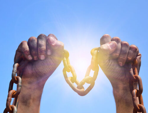 La libertad como base de la democracia moderna